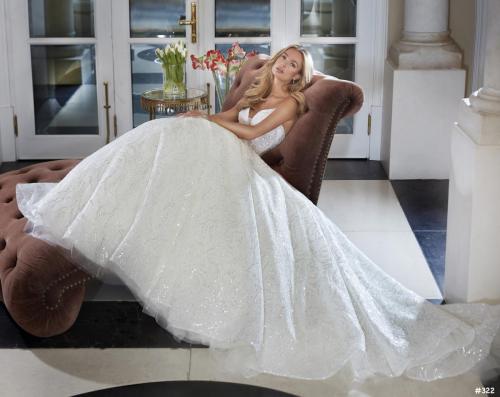 322 Liebreiz DEM DP462 detail (1) (1)