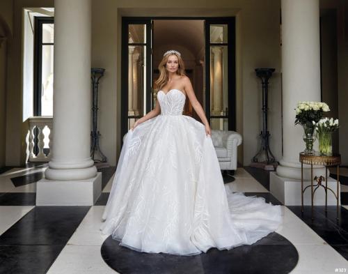 323 Liebreiz DEM  DP465 (1)