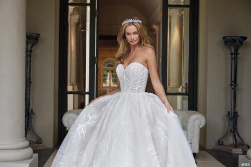 323 Liebreiz DEM  DP465 Aront1 (1) (1)