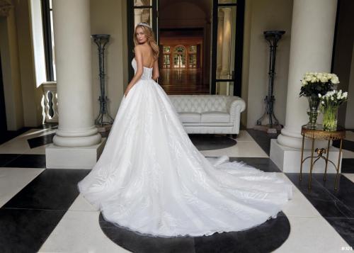 323 Liebreiz DEM  DP465 back (1) (1)