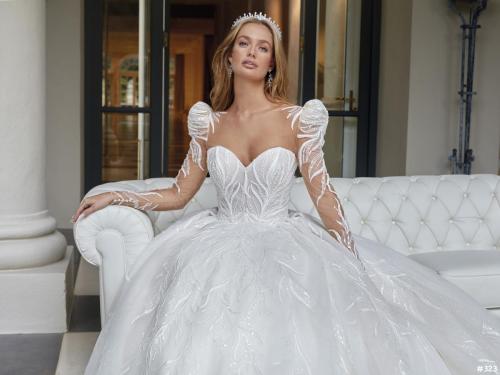 323 Liebreiz DEM  DP465 detail (1) (1)