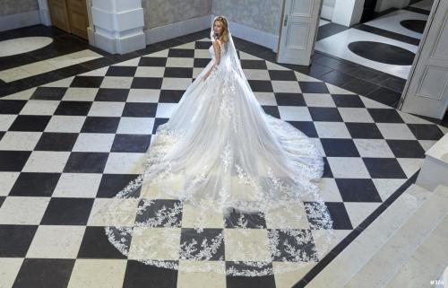 324 Liebreiz DEM DP466 back1 (1)