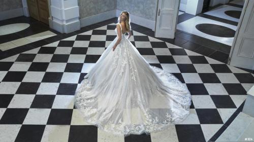 324 Liebreiz DEM DP466 back (1) (1)