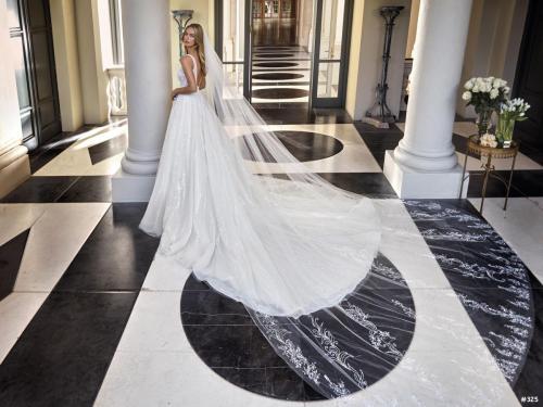 325 Liebreiz DEM DP468 back1 (1) (1)