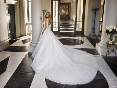 325 Liebreiz DEM DP468 back (1)