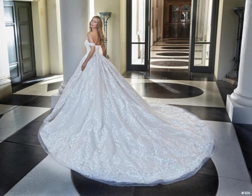 326 Liebreiz DEM DP470 back (1) (1)