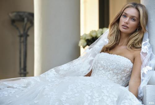 326 Liebreiz DEM DP470 detail1 (1)