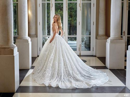 327 Liebreiz DEM DP471 back (1) (1)