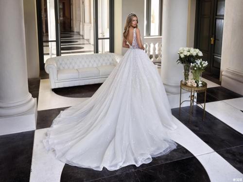 328 Liebreiz DEM DP473 back (1)