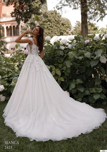 360 Liebreiz VS 2423 back (1)