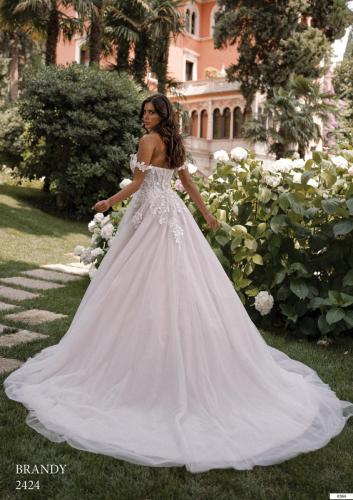 364 Liebreiz VS 2424 back (1)