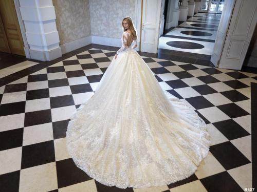 427 Liebreiz DEM DP475 back1 (1)