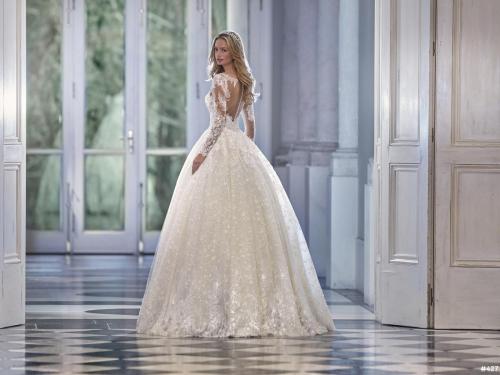 427 Liebreiz DEM DP475 back (1)