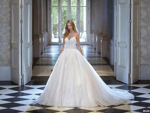 428 Liebreiz DEM DP477 (1) (1)