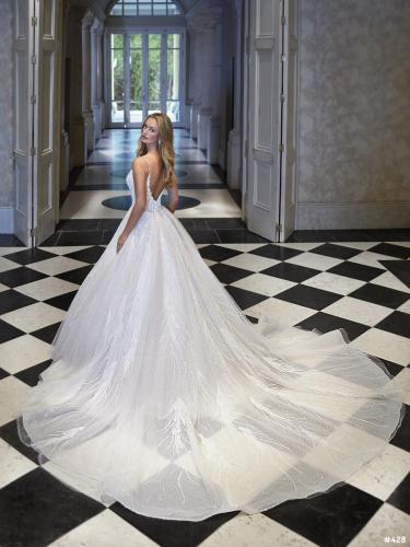 428 Liebreiz DEM DP477 back (1)