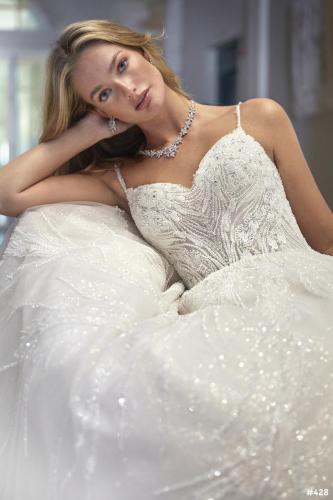 428 Liebreiz DEM DP477 detail1 (1) (1)