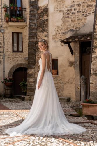 526 Liebreiz LB 2281 back (1)