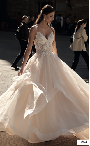 54 Liebreiz Nova 30826 (1)