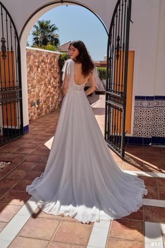 551 Liebreiz LisaDonetti 2306 back (1)