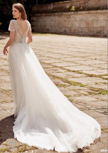 69 Liebreiz VS 2335 back (1)