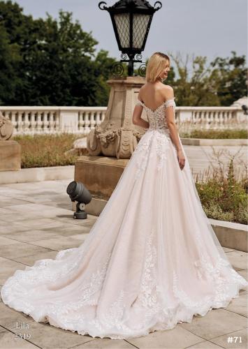 71 Liebreiz VS 2319 back (1)