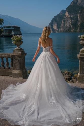 79 Liebreiz VA-2202E back (1)