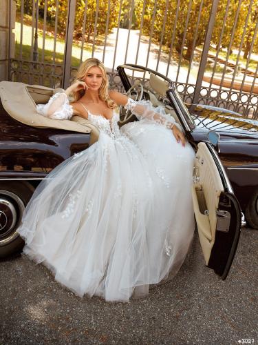 99999-3027 Liebreiz VA 2505 (1)