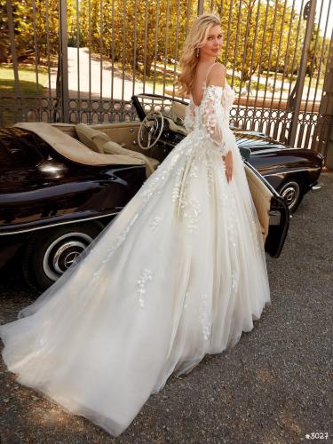 99999-3027 Liebreiz VA 2505 back (1)