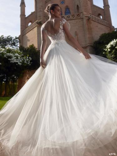 Liebreiz-BE e479 back1 (1)