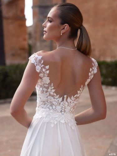 Liebreiz-BE e479 back (1)