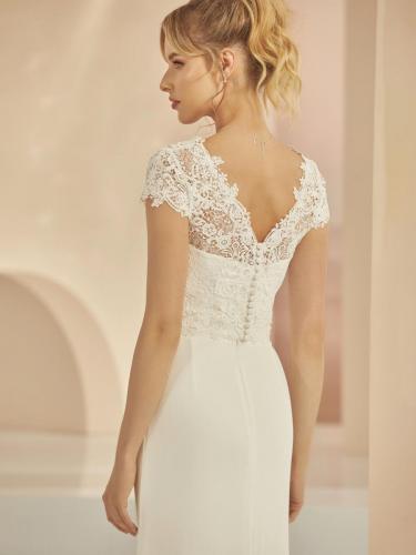 liebreiz-a22 (1) (1)